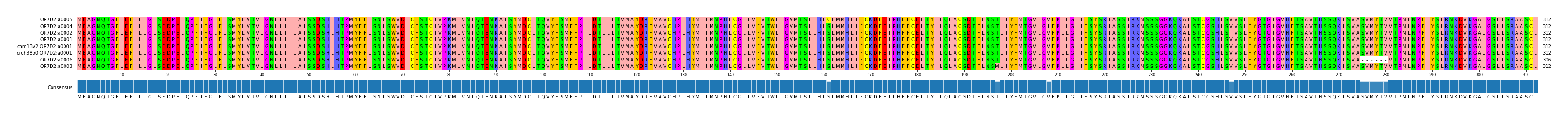Multiple Alignments (by translate haplotype similarity)