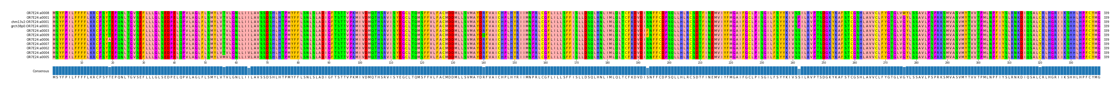Multiple Alignments (by translate haplotype similarity)