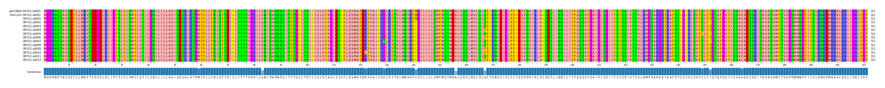 Multiple Alignments (by translate haplotype frequency)
