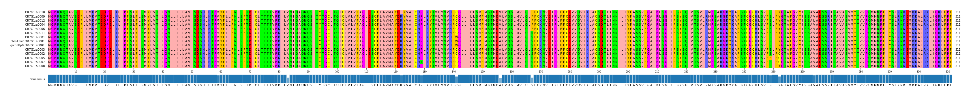 Multiple Alignments (by translate haplotype similarity)