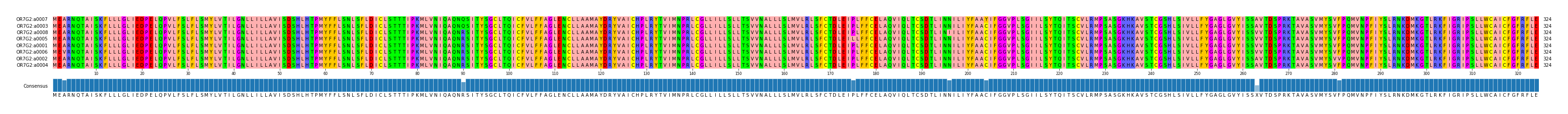 Multiple Alignments (by translate haplotype similarity)