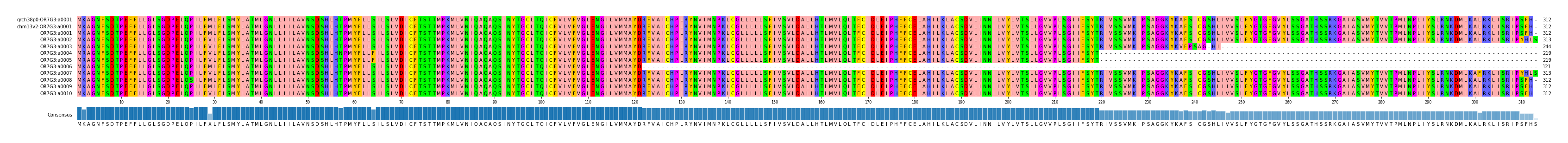 Multiple Alignments (by translate haplotype frequency)