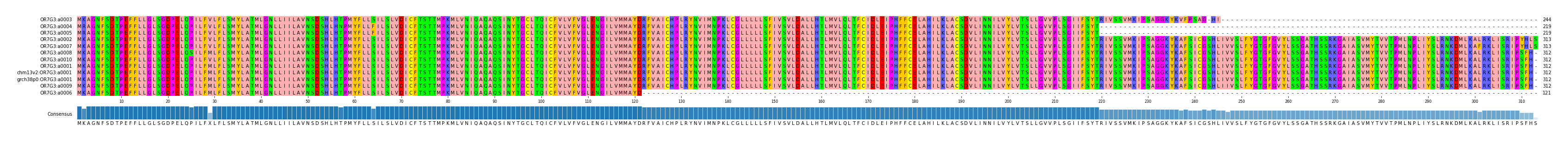 Multiple Alignments (by translate haplotype similarity)