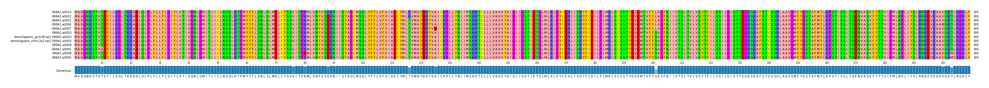 Multiple Alignments (by translate haplotype similarity)