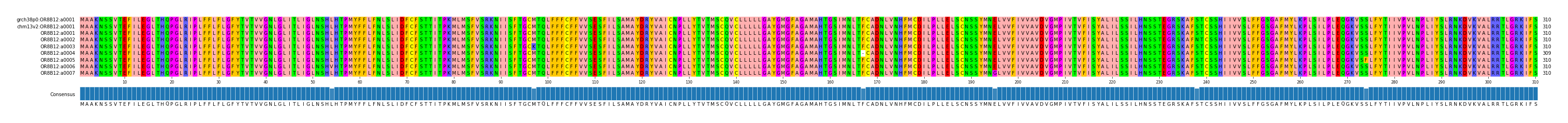 Multiple Alignments (by translate haplotype frequency)