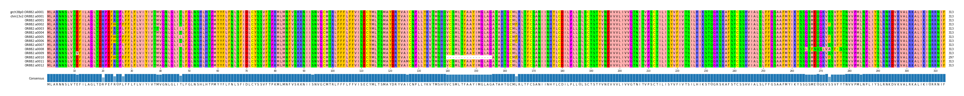 Multiple Alignments (by translate haplotype frequency)