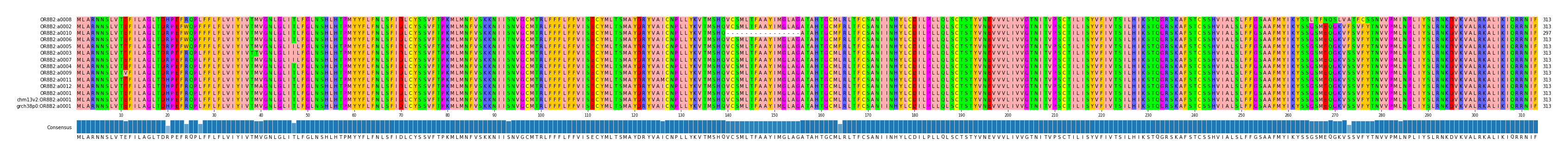 Multiple Alignments (by translate haplotype similarity)