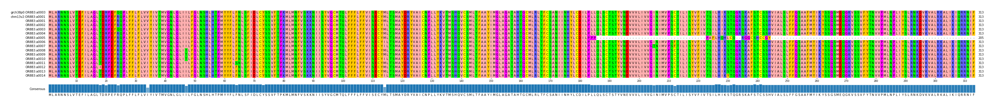 Multiple Alignments (by translate haplotype frequency)