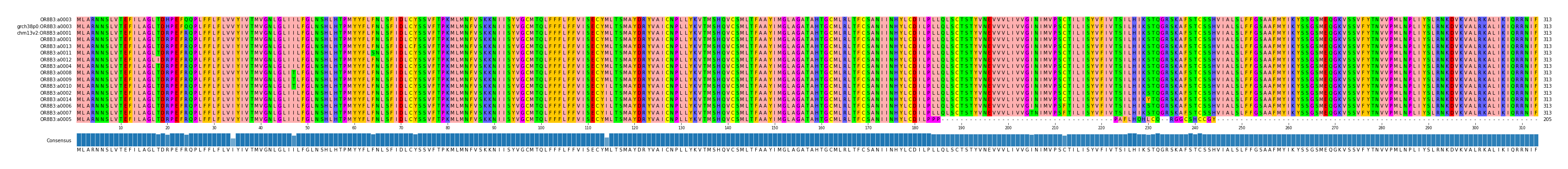 Multiple Alignments (by translate haplotype similarity)
