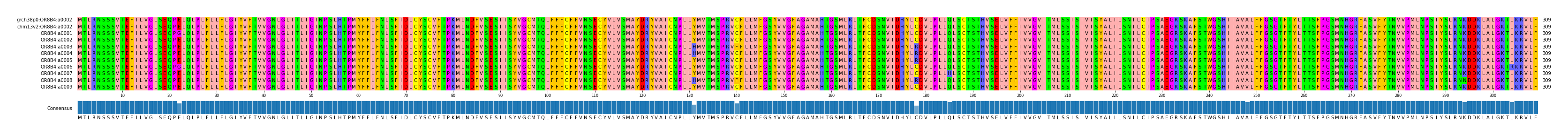 Multiple Alignments (by translate haplotype frequency)