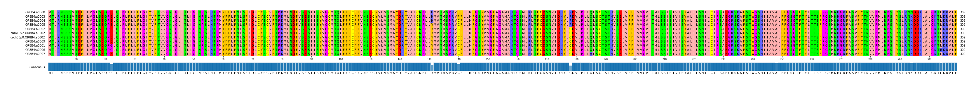 Multiple Alignments (by translate haplotype similarity)