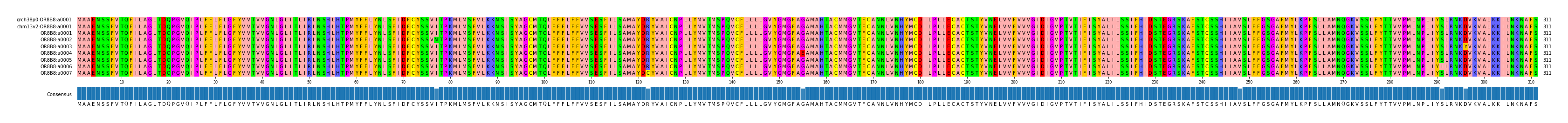 Multiple Alignments (by translate haplotype frequency)