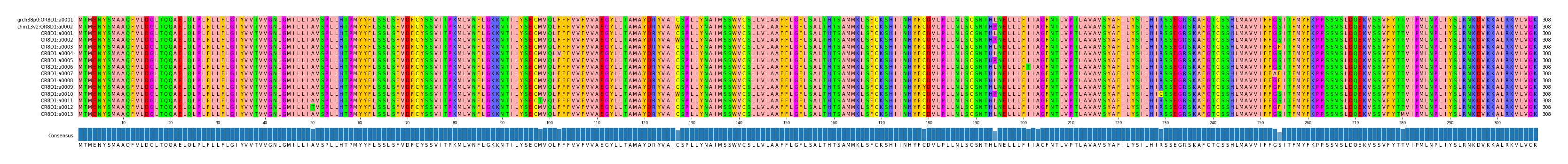 Multiple Alignments (by translate haplotype frequency)