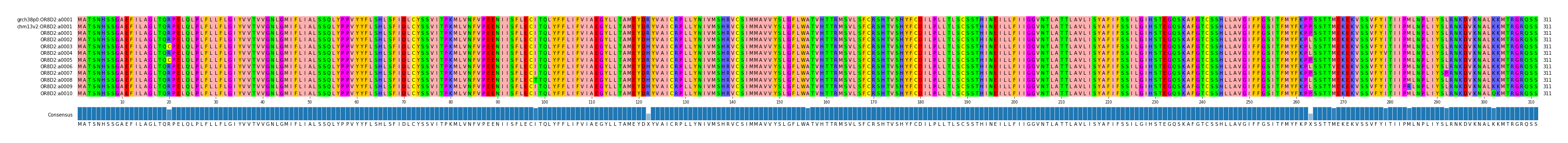 Multiple Alignments (by translate haplotype frequency)