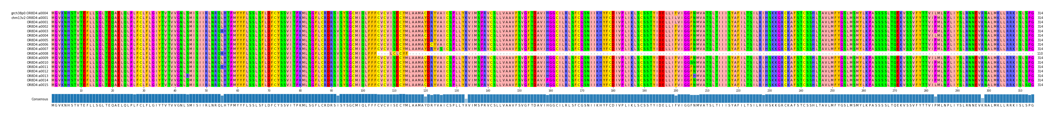 Multiple Alignments (by translate haplotype frequency)