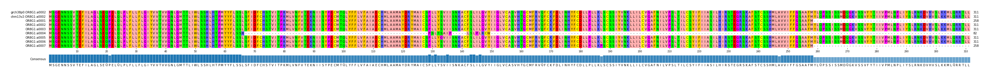 Multiple Alignments (by translate haplotype frequency)