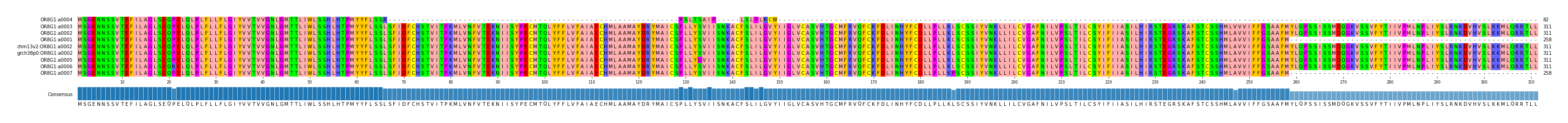 Multiple Alignments (by translate haplotype similarity)