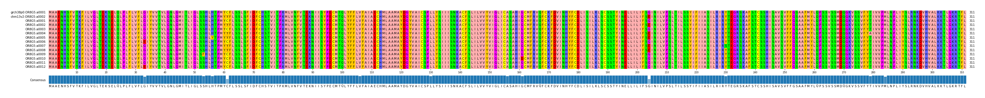 Multiple Alignments (by translate haplotype frequency)
