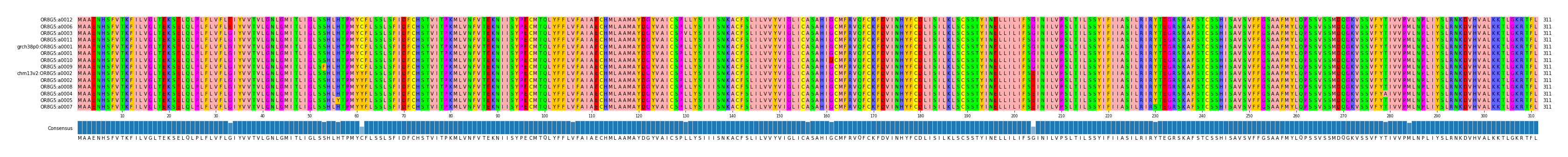 Multiple Alignments (by translate haplotype similarity)