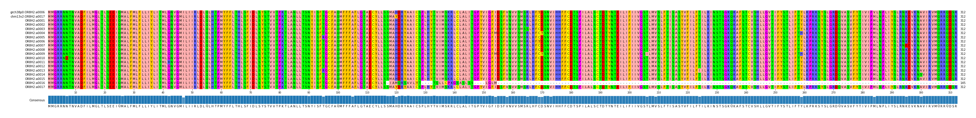 Multiple Alignments (by translate haplotype frequency)