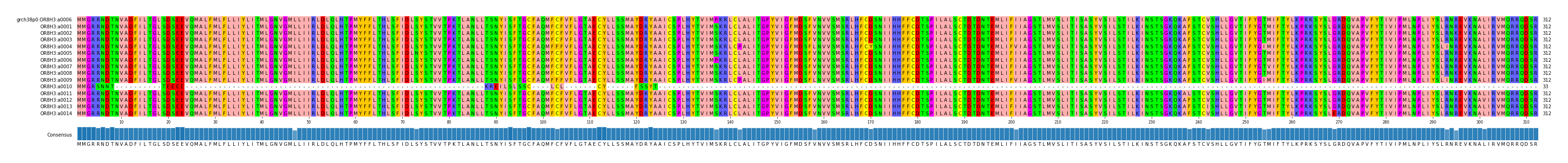 Multiple Alignments (by translate haplotype frequency)