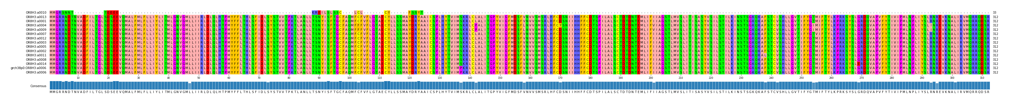 Multiple Alignments (by translate haplotype similarity)