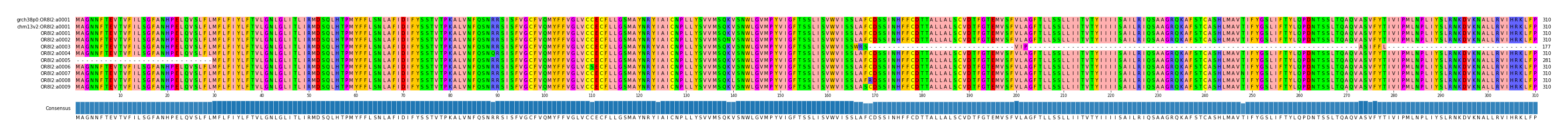 Multiple Alignments (by translate haplotype frequency)