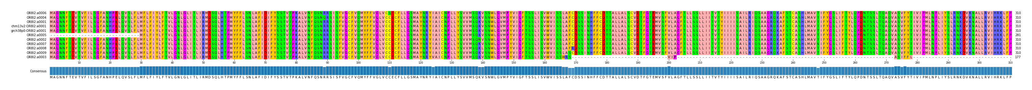 Multiple Alignments (by translate haplotype similarity)