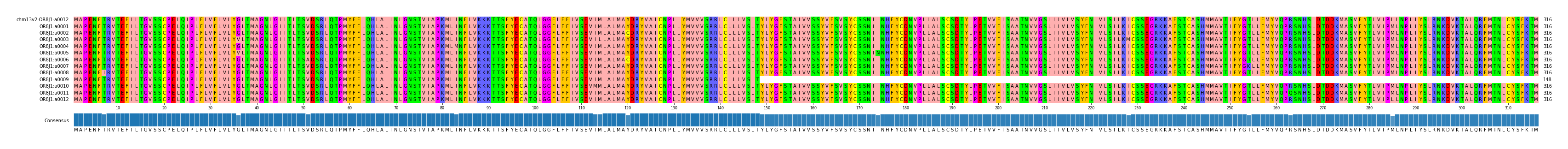 Multiple Alignments (by translate haplotype frequency)