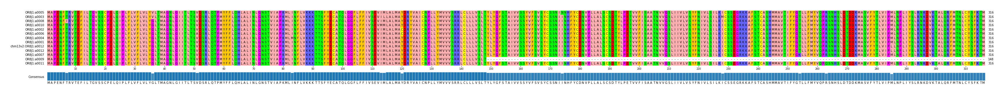 Multiple Alignments (by translate haplotype similarity)