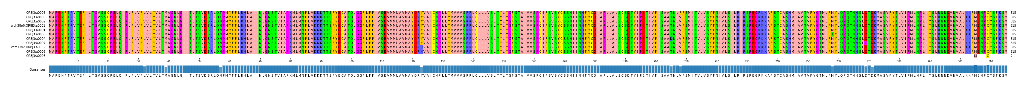 Multiple Alignments (by translate haplotype similarity)