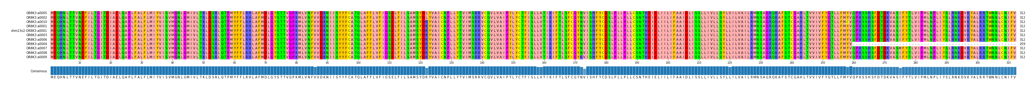 Multiple Alignments (by translate haplotype similarity)