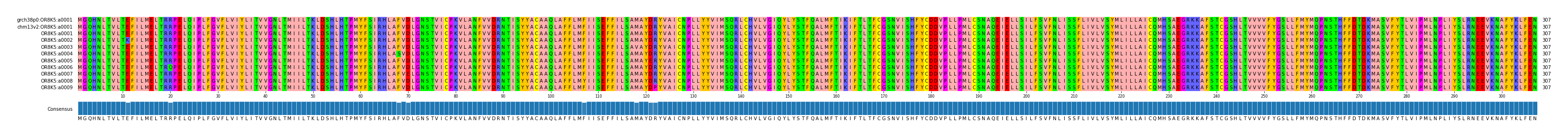 Multiple Alignments (by translate haplotype frequency)