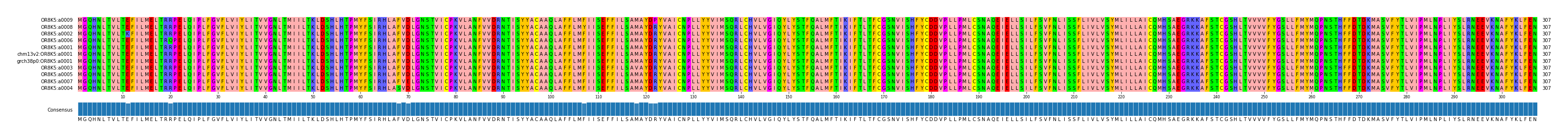 Multiple Alignments (by translate haplotype similarity)