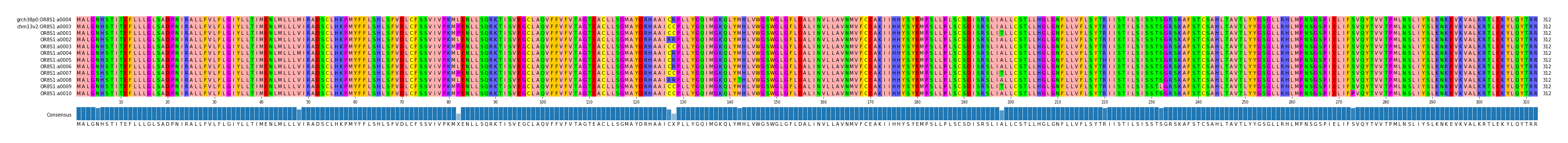 Multiple Alignments (by translate haplotype frequency)