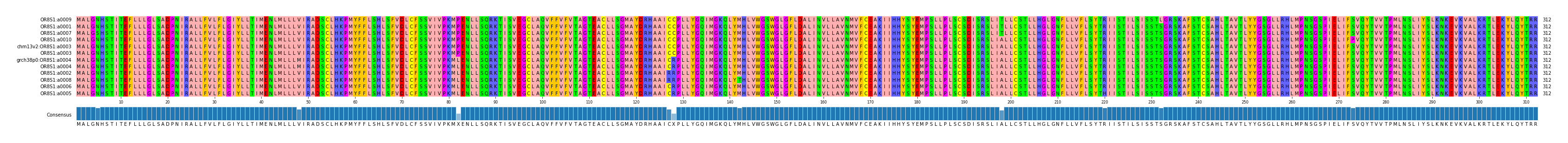 Multiple Alignments (by translate haplotype similarity)