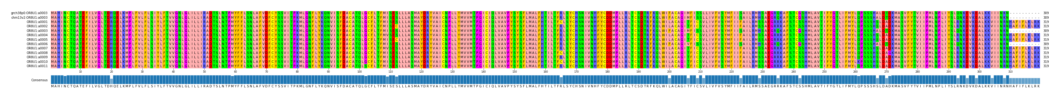 Multiple Alignments (by translate haplotype frequency)