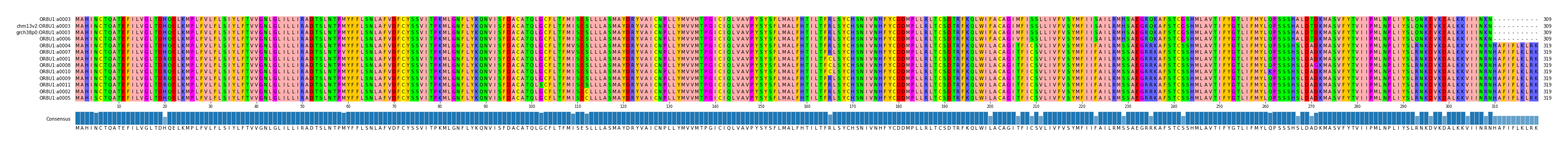 Multiple Alignments (by translate haplotype similarity)
