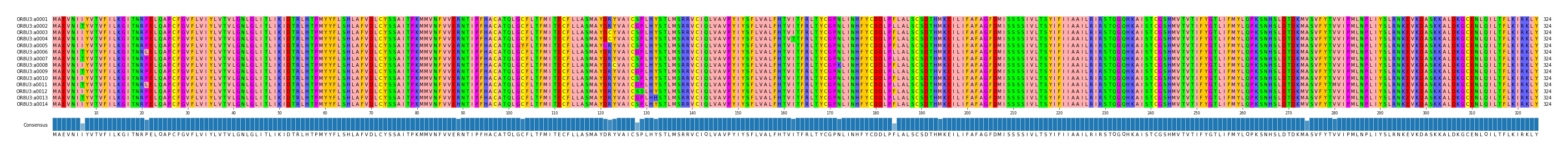 Multiple Alignments (by translate haplotype frequency)