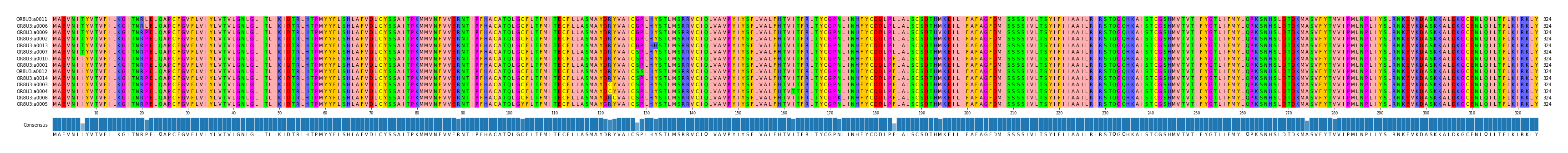 Multiple Alignments (by translate haplotype similarity)