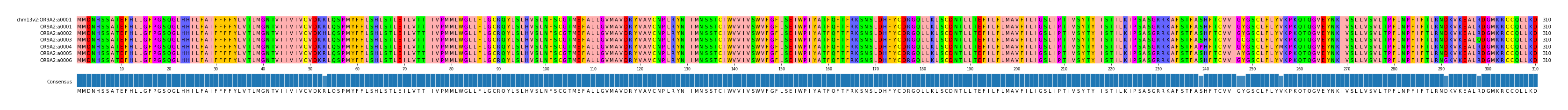 Multiple Alignments (by translate haplotype frequency)