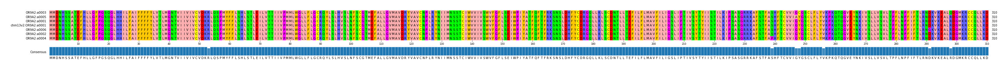 Multiple Alignments (by translate haplotype similarity)
