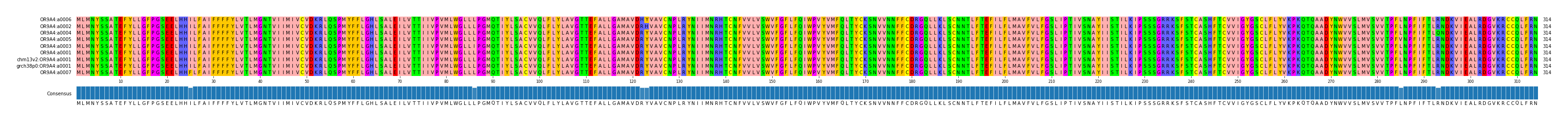 Multiple Alignments (by translate haplotype similarity)