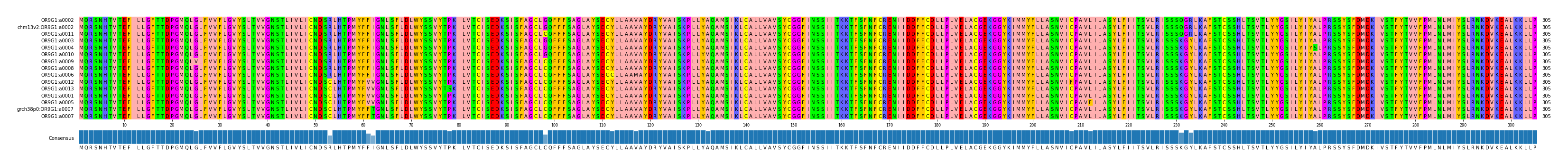 Multiple Alignments (by translate haplotype similarity)