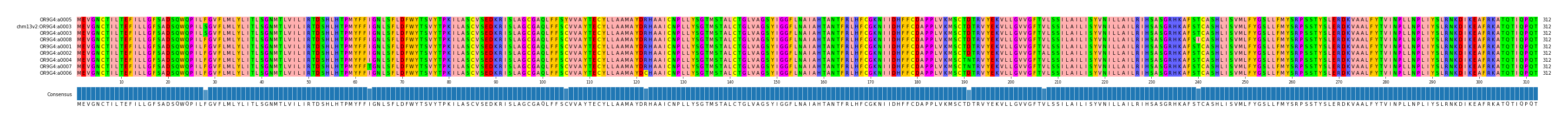 Multiple Alignments (by translate haplotype similarity)