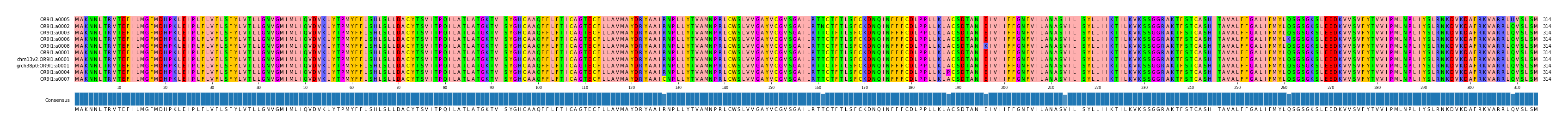Multiple Alignments (by translate haplotype similarity)