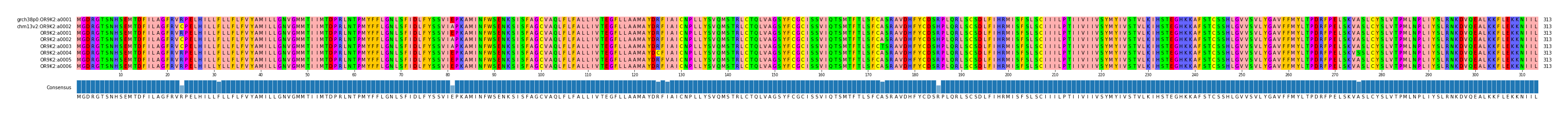 Multiple Alignments (by translate haplotype frequency)