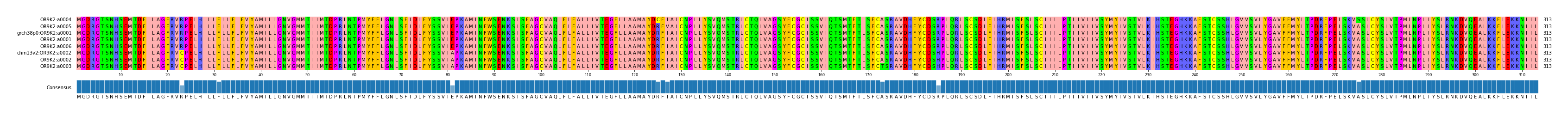 Multiple Alignments (by translate haplotype similarity)