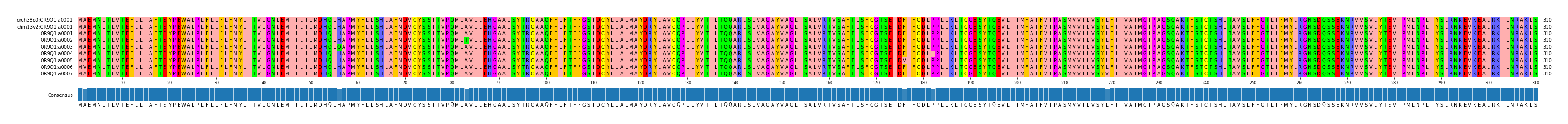 Multiple Alignments (by translate haplotype frequency)
