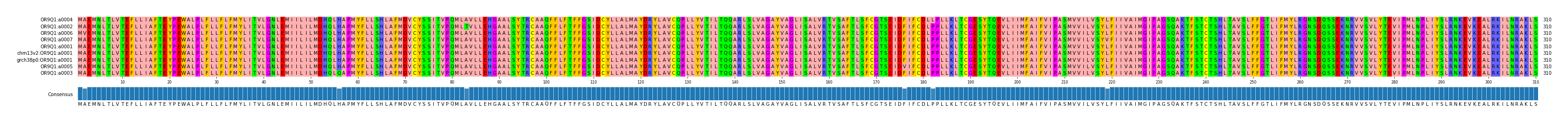 Multiple Alignments (by translate haplotype similarity)